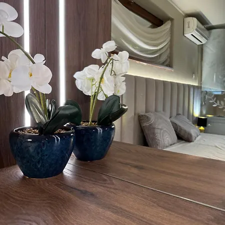 къщата на тати *